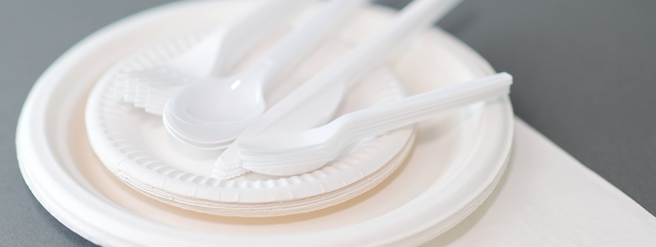 Party Plates and Napkins